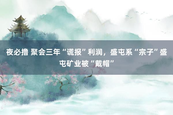 夜必撸 聚会三年“谎报”利润，盛屯系“宗子”盛屯矿业被“戴帽”