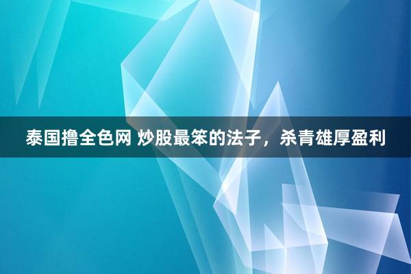 泰国撸全色网 炒股最笨的法子,杀青雄厚盈利