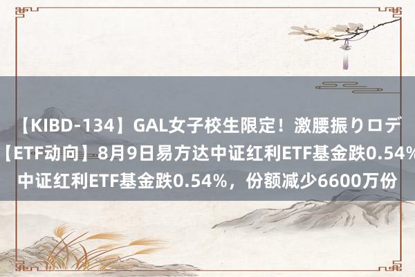 【KIBD-134】GAL女子校生限定！激腰振りロデオ騎乗位FUCK8時間 【ETF动向】8月9日易方达中证红利ETF基金跌0.54%，份额减少6600万份