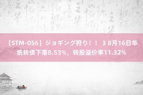 【STM-056】ジョギング狩り！！ 3 8月16日华统转债下落8.53%，转股溢价率11.32%