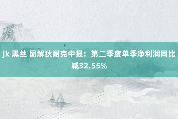 jk 黑丝 图解狄耐克中报:第二季度单季净利润同比减32.55%