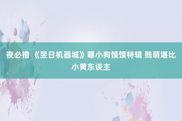 夜必撸 《翌日机器城》曝小狗馍馍特辑 贱萌堪比小黄东谈主