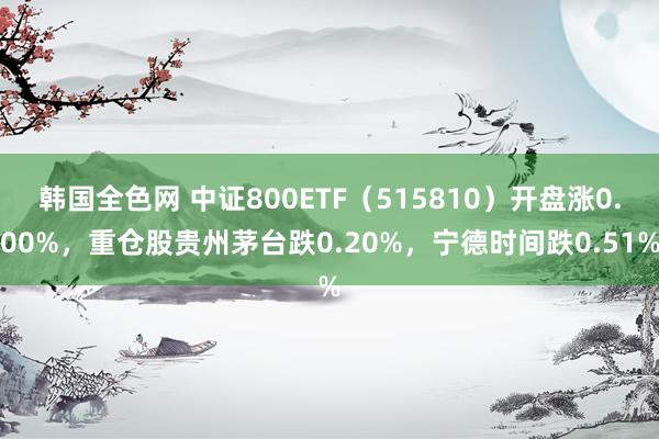 韩国全色网 中证800ETF（515810）开盘涨0.00%，重仓股贵州茅台跌0.20%，宁德时间跌0.51%