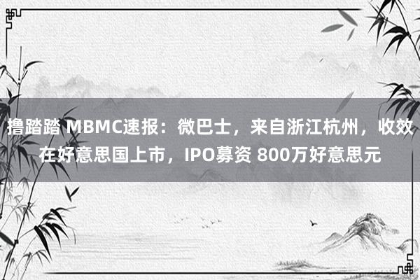 撸踏踏 MBMC速报：微巴士，来自浙江杭州，收效在好意思国上市，IPO募资 800万好意思元