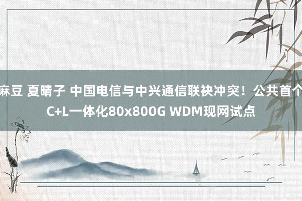 麻豆 夏晴子 中国电信与中兴通信联袂冲突！公共首个C+L一体化80x800G WDM现网试点