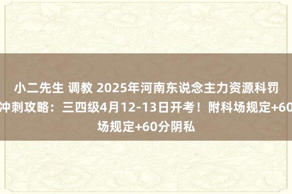 小二先生 调教 2025年河南东说念主力资源科罚师测验冲刺攻略：三四级4月12-13日开考！附科场规定+60分阴私
