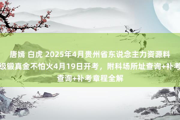 唐嫣 白虎 2025年4月贵州省东说念主力资源料理师三四级锻真金不怕火4月19日开考，附科场所址查询+补考章程全解