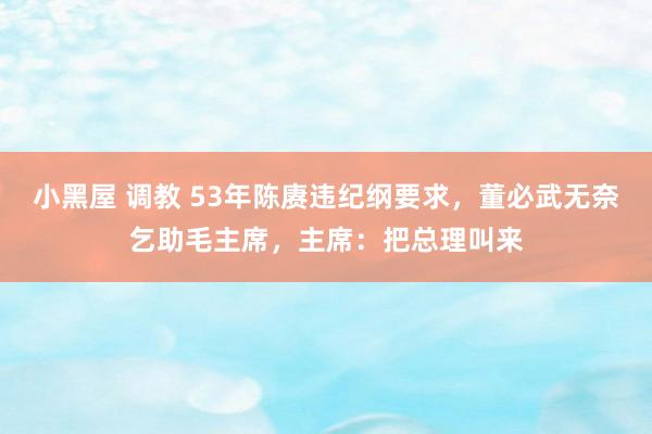 小黑屋 调教 53年陈赓违纪纲要求，董必武无奈乞助毛主席，主席：把总理叫来