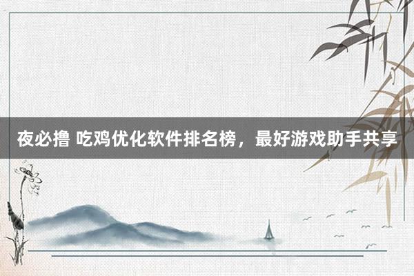 夜必撸 吃鸡优化软件排名榜，最好游戏助手共享