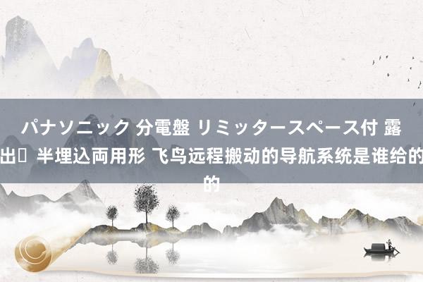 パナソニック 分電盤 リミッタースペース付 露出・半埋込両用形 飞鸟远程搬动的导航系统是谁给的