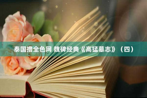 泰国撸全色网 魏碑经典《高猛墓志》（四）